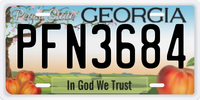 GA license plate PFN3684