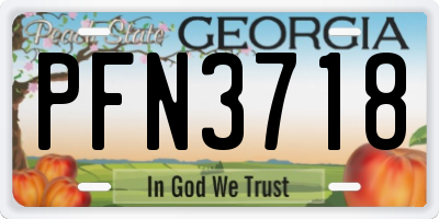 GA license plate PFN3718
