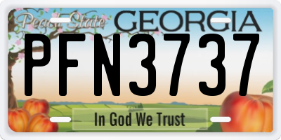 GA license plate PFN3737
