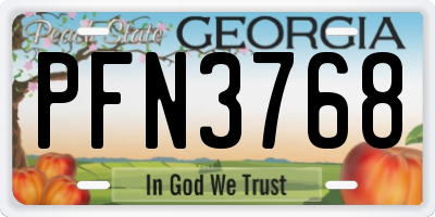 GA license plate PFN3768
