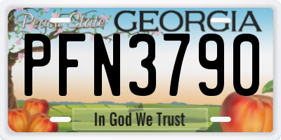 GA license plate PFN3790