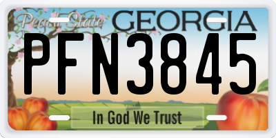 GA license plate PFN3845