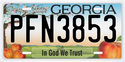 GA license plate PFN3853