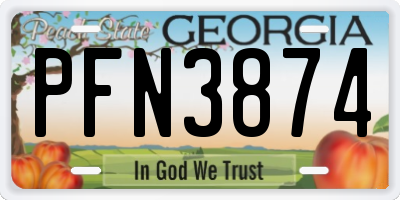 GA license plate PFN3874