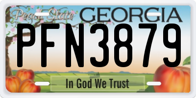 GA license plate PFN3879