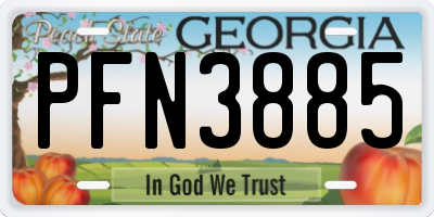 GA license plate PFN3885