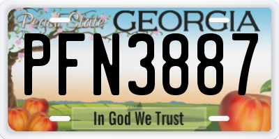 GA license plate PFN3887