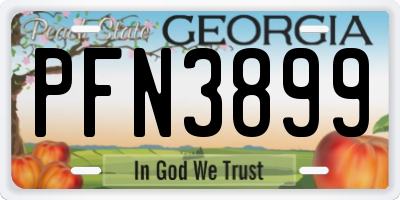 GA license plate PFN3899
