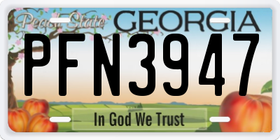 GA license plate PFN3947