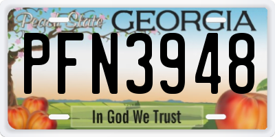 GA license plate PFN3948