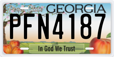 GA license plate PFN4187
