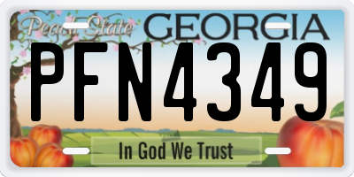 GA license plate PFN4349