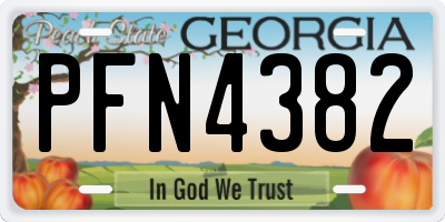 GA license plate PFN4382