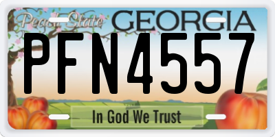 GA license plate PFN4557