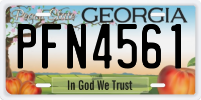 GA license plate PFN4561