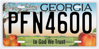 GA license plate PFN4600