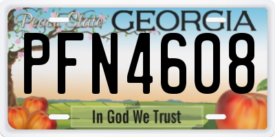 GA license plate PFN4608