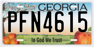 GA license plate PFN4615