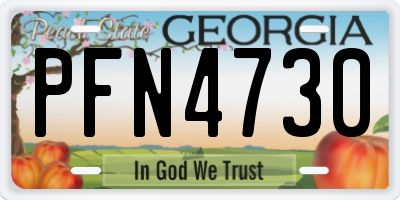 GA license plate PFN4730