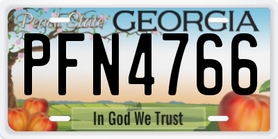 GA license plate PFN4766