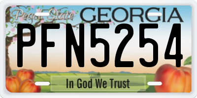 GA license plate PFN5254