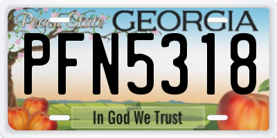 GA license plate PFN5318
