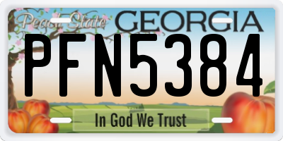 GA license plate PFN5384