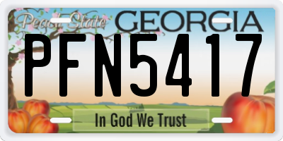 GA license plate PFN5417