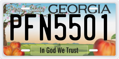 GA license plate PFN5501