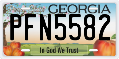 GA license plate PFN5582