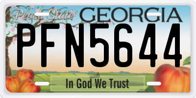 GA license plate PFN5644