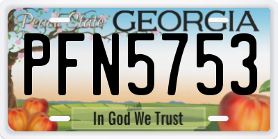 GA license plate PFN5753