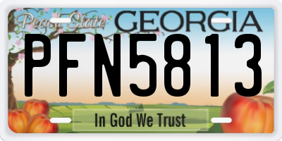 GA license plate PFN5813