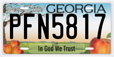 GA license plate PFN5817