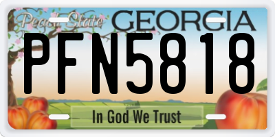 GA license plate PFN5818