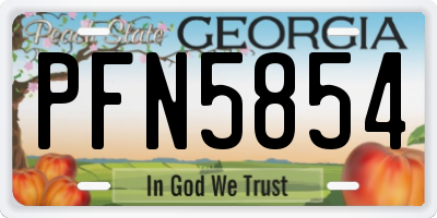 GA license plate PFN5854