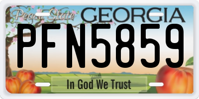 GA license plate PFN5859