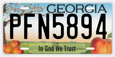 GA license plate PFN5894