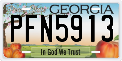 GA license plate PFN5913