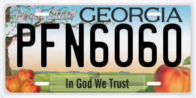 GA license plate PFN6060