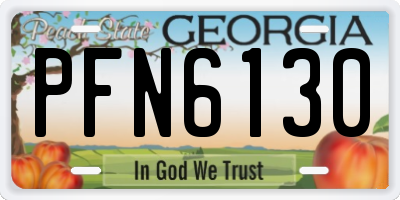 GA license plate PFN6130