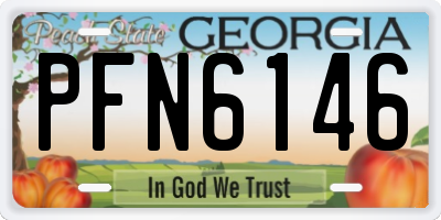 GA license plate PFN6146