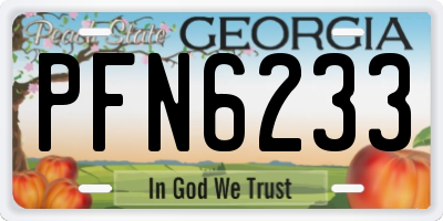 GA license plate PFN6233