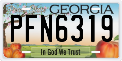 GA license plate PFN6319