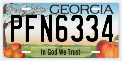 GA license plate PFN6334