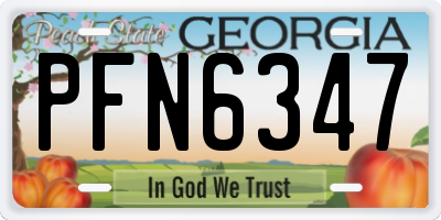 GA license plate PFN6347