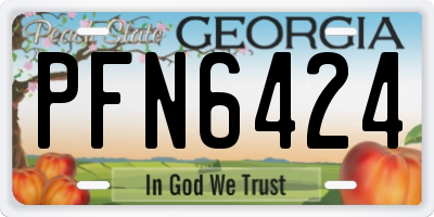 GA license plate PFN6424