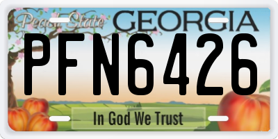 GA license plate PFN6426