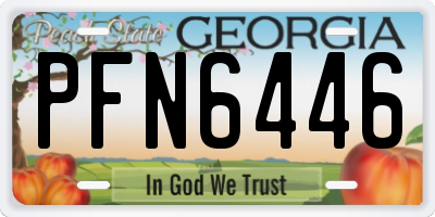 GA license plate PFN6446