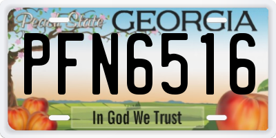GA license plate PFN6516
